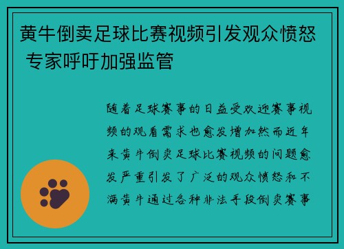 黄牛倒卖足球比赛视频引发观众愤怒 专家呼吁加强监管