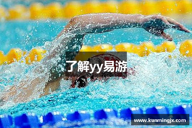 了解yy易游